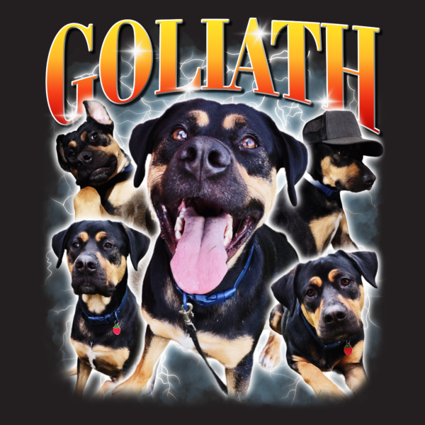 Custom Bootleg Rap Tee, Custom Dog Bootleg Shirt, Custom Dog