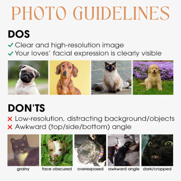 Custom pet bootleg photo guide