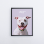 Custom pet portrait from photo - Oil painting style