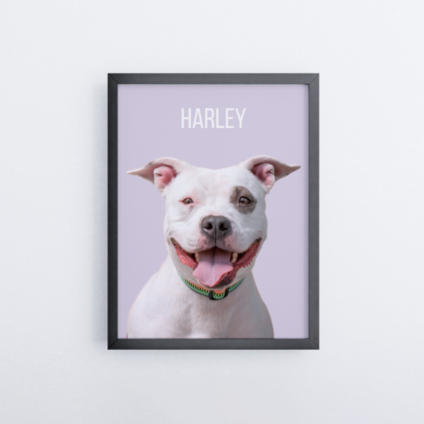 Custom pet portrait from photo - Oil painting style